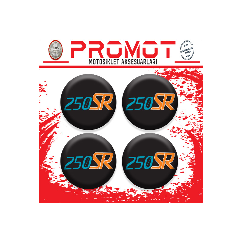 CFMOTO 250 SR KORUMA TAKOZU LOGOSU 2