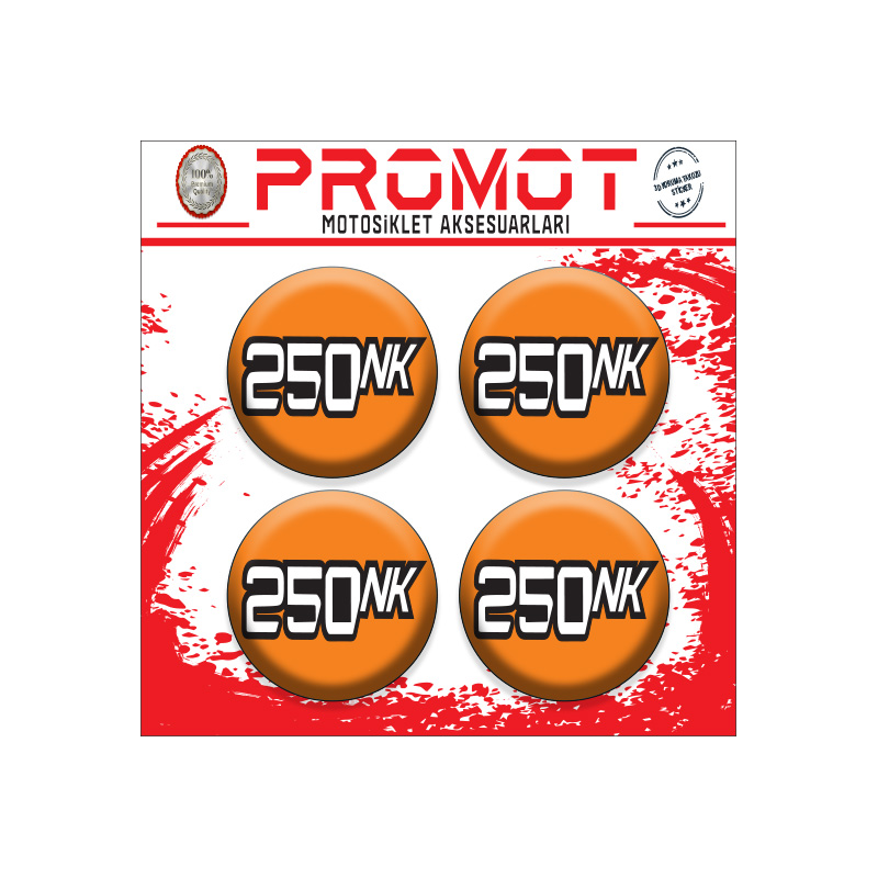 CFMOTO 250 NK KORUMA TAKOZU LOGOSU 6