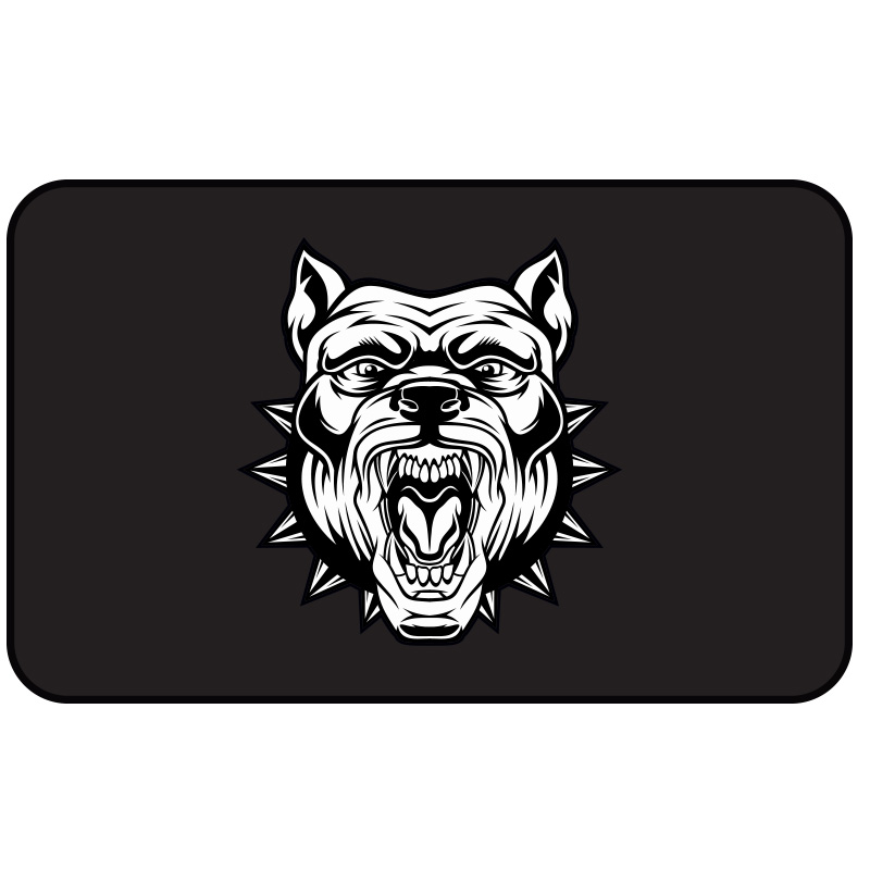 CG FAR FİLMİ 5'Lİ PAKET 018