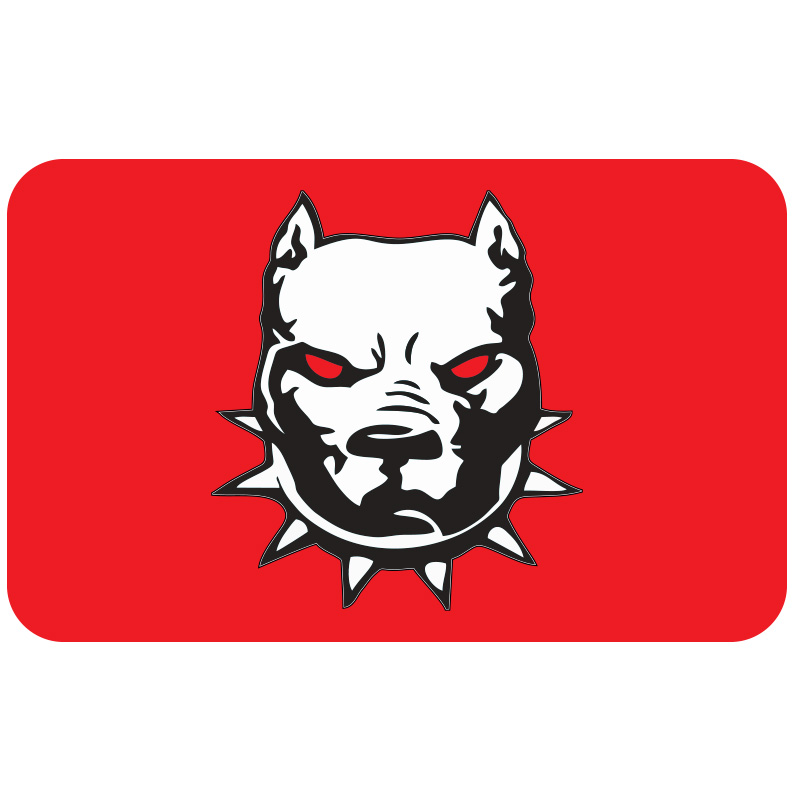 CG FAR FİLMİ 5'Lİ PAKET 024