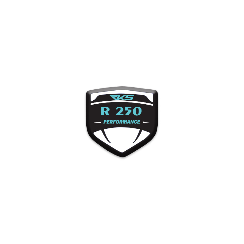 RKS R250 LOGOLU 3D KABARTMALI SİPERLİK CAMI STİCKER 4