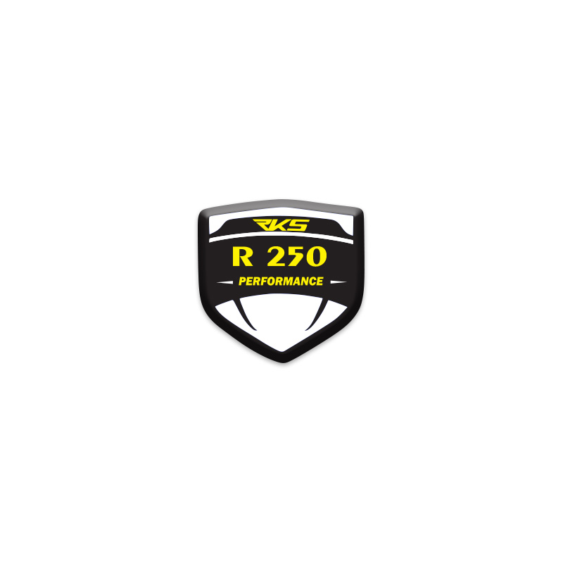 RKS R250 LOGOLU 3D KABARTMALI SİPERLİK CAMI STİCKER 5